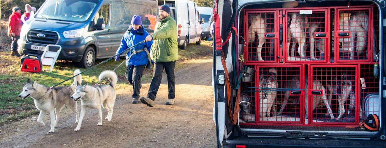 Pet Transport in NZ